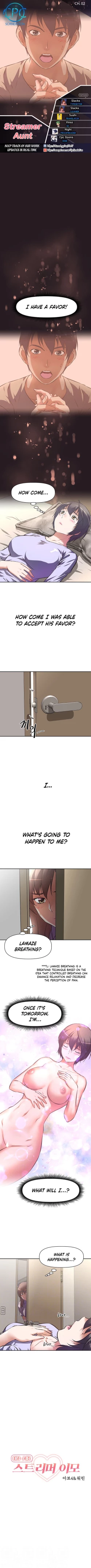 Page 17 of Streamer Aunt