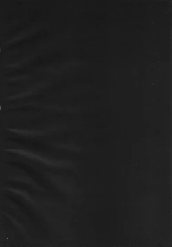 Page 3 of Itomo Tayasuku Tsurareru Wari to Choroi Seija