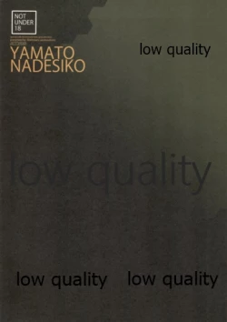 Page 19 of YAMATONADESIKOTATI