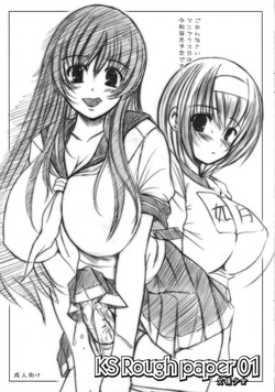 Download KS Rough paper 01