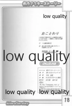 Page 17 of Kirino After Story