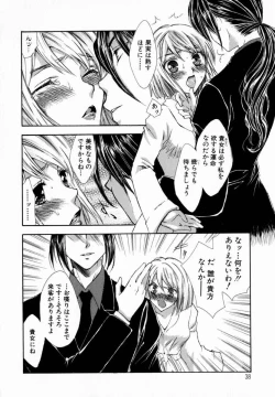 Page 41 of Majo no Ketsumyaku