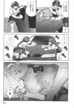 Page 27 of Kyonyuu de Gatten!