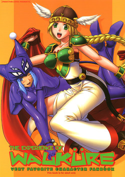 Download THE EXPERIENCE OF WALKURE