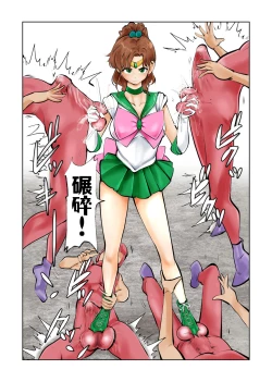Page 23 of Nabutte! Sailor Senshi-sama