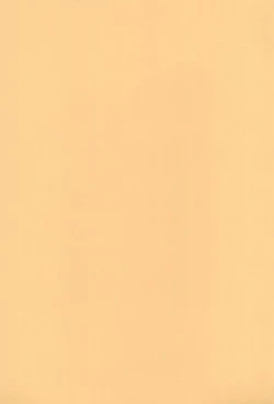 Page 29 of Anime Imouto Ou 1