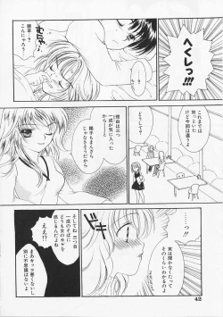 Page 41 of Usagi