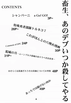 Page 3 of BATTLE OVER ALEFGARD