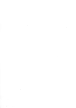 Page 2 of Sawatte, Onii-chan...!!