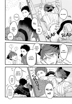 Page 21 of Iwa-chan no Neko ni Naritai 2