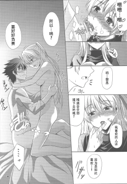 Page 17 of Haiiro no Kishi no Ichiban Amai Kyuujitsu