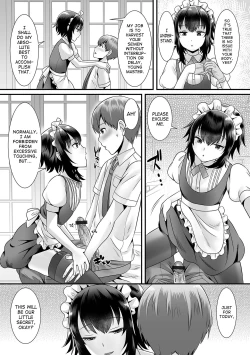 Page 5 of Seiki Sakushu Maid-san Oshigoto Desu Yo