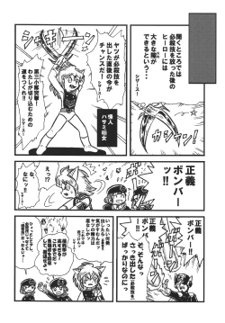 Page 33 of Tsurupeta Kenkyuu Houkokusho "Kakyuu Sentou In no Isshou" - Turupeta Research Report