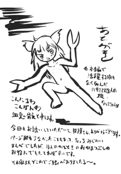 Page 38 of Tsurupeta Kenkyuu Houkokusho "Kakyuu Sentou In no Isshou" - Turupeta Research Report