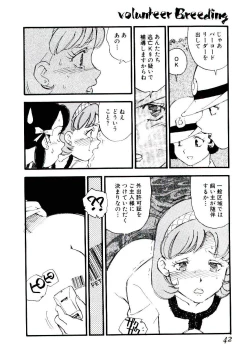 Page 41 of Volunteer Breeding