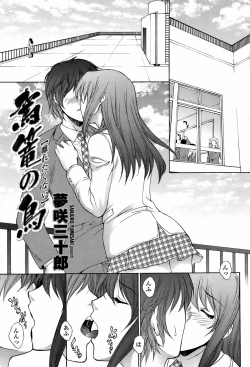 Page 31 of 駕籠の鳥