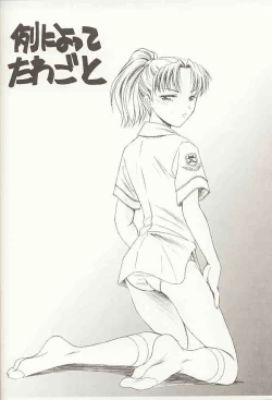 Page 33 of Gopher No Hako