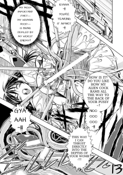 Page 14 of Jewel Knight Princess Lena