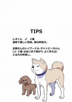 Page 14 of Kusuguri Massage 6 Otasa no Himeko-chan