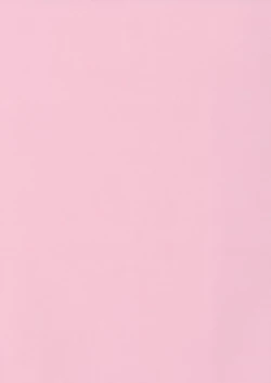 Page 172 of The Hard Core