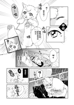 Page 13 of 可怕的臭臉君對貓很癡迷