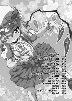 Page 2 of Touhou CJD Catalog