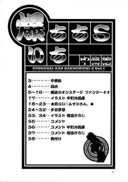 Page 3 of Bakuchichi S Ichi