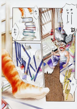 Page 5 of Vanity Fair