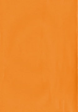 Page 192 of SISUBURA