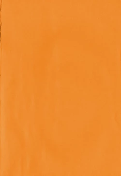 Page 193 of SISUBURA