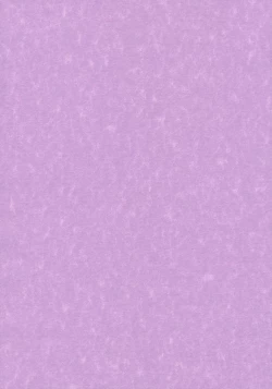 Page 2 of AriMAX 3 - Miracle Moon