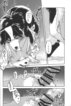 Page 17 of Usotsuki-tachi no Fuyu