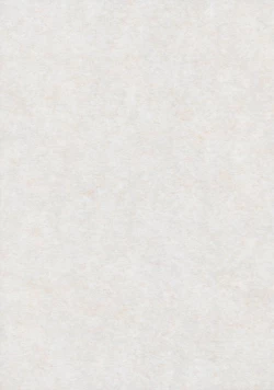 Page 2 of 博麗神社で診察ちゅう