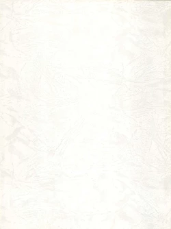 Page 2 of MoN MoN Vol. 5