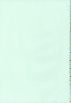 Page 4 of Migawari Body