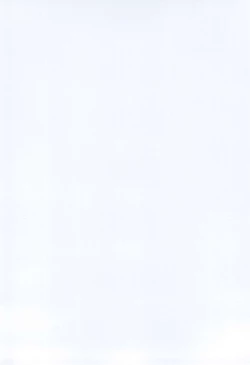 Page 4 of Ro-chan no Sauna de Daisakusen