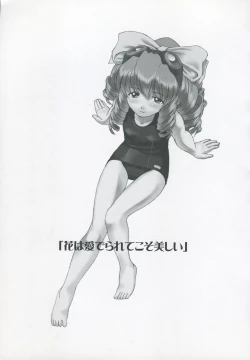 Page 2 of Hydros. Offer of illusion