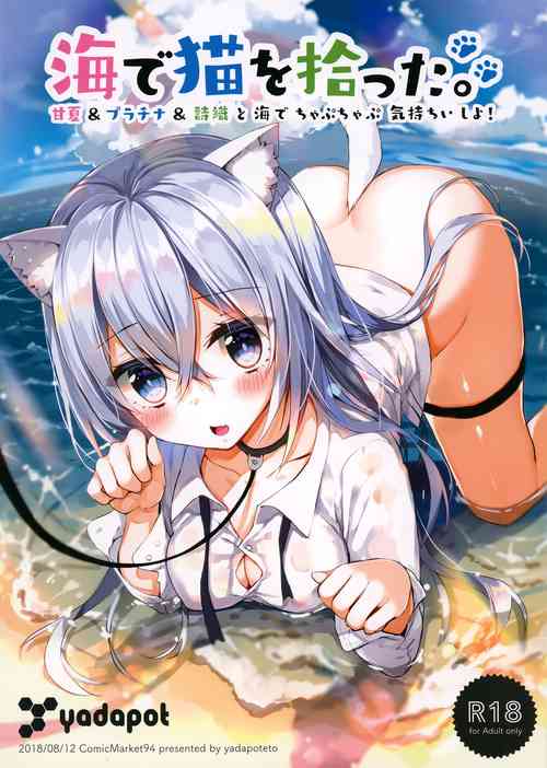 Download Umi de Neko o Hirotta.