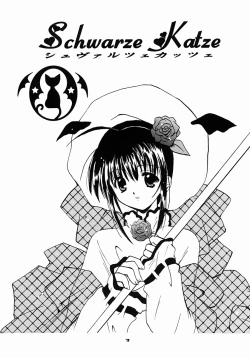 Page 2 of Schwarze Katze