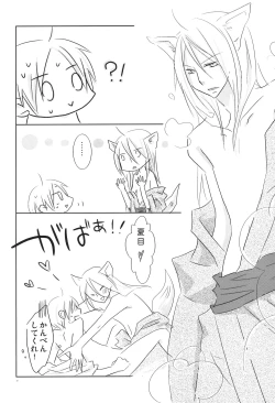 Page 19 of Kogitsune no Ongaeshi