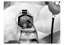 Page 134 of Migawari Kyousei Mesu Kobi