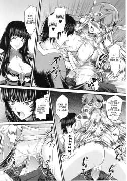 Page 41 of Ikusa Otome Valkyrie 2