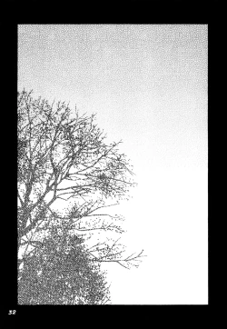 Page 31 of Kowaku no Mori