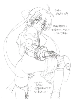 Page 23 of Zettai☆Nanoha StrikerS