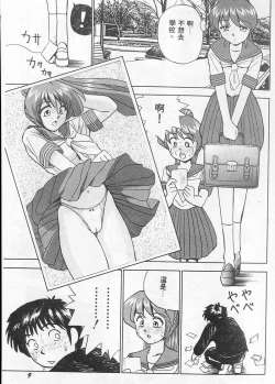 Page 13 of Tissues Time