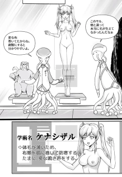 Page 9 of shinenkan Rare stuffed animals