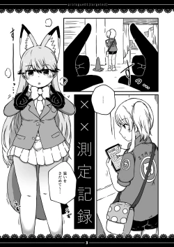 Page 2 of xx Sokutei Kiroku