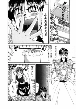 Page 13 of Lesson Shimasho