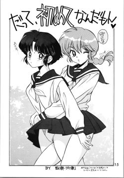 Page 14 of Impression 2