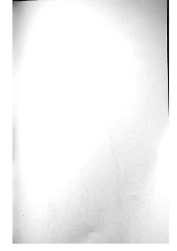 Page 4 of Shishou! Name Sasete Kudasai